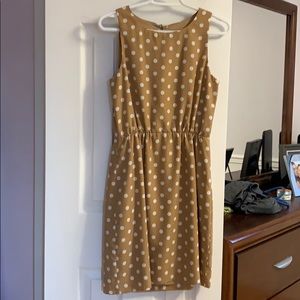 J Crew casual day dress